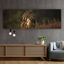 Lade das Bild in den Galerie-Viewer, Poster Uhu im Heidekraut Panorama