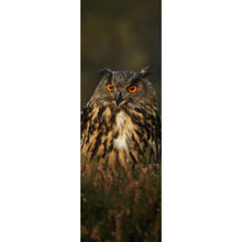 Lade das Bild in den Galerie-Viewer, Aluminiumbild Uhu im Heidekraut Panorama Hoch