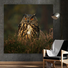 Lade das Bild in den Galerie-Viewer, Acrylglasbild Uhu im Heidekraut Quadrat