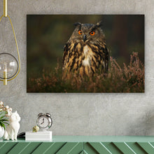 Lade das Bild in den Galerie-Viewer, Aluminiumbild Uhu im Heidekraut Querformat