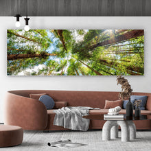Lade das Bild in den Galerie-Viewer, Poster Urwald im Sonnenlicht Panorama