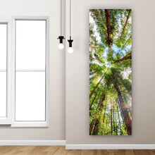 Lade das Bild in den Galerie-Viewer, Poster Urwald im Sonnenlicht Panorama Hoch