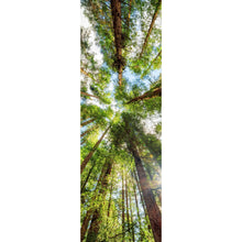 Lade das Bild in den Galerie-Viewer, Poster Urwald im Sonnenlicht Panorama Hoch
