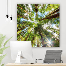 Lade das Bild in den Galerie-Viewer, Poster Urwald im Sonnenlicht Quadrat