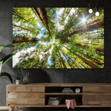 Lade das Bild in den Galerie-Viewer, Aluminiumbild Urwald im Sonnenlicht Querformat