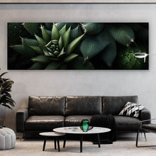 Lade das Bild in den Galerie-Viewer, Poster Verschiedene Sukkulenten Panorama
