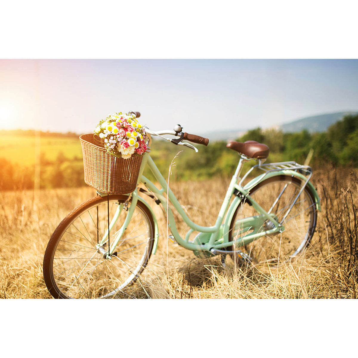vintage fahrrad mit korb Leinwandbild Vintage Fahrrad auf einem Feld im Querformat, Aufhängefertig &  Versandkostenfrei – Wandguru