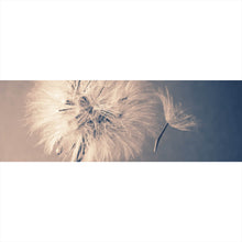 Lade das Bild in den Galerie-Viewer, Aluminiumbild Vintage Pusteblume Panorama