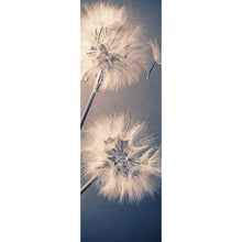 Lade das Bild in den Galerie-Viewer, Aluminiumbild Vintage Pusteblume Panorama Hoch