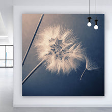 Lade das Bild in den Galerie-Viewer, Spannrahmenbild Vintage Pusteblume Quadrat