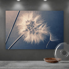 Lade das Bild in den Galerie-Viewer, Leinwandbild Vintage Pusteblume Querformat