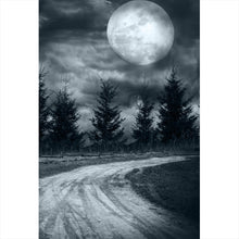 Lade das Bild in den Galerie-Viewer, Poster Vollmond Nacht Hochformat