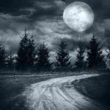 Lade das Bild in den Galerie-Viewer, Poster Vollmond Nacht Quadrat