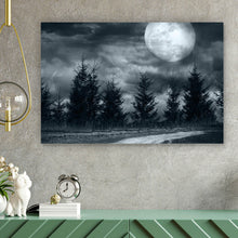 Lade das Bild in den Galerie-Viewer, Poster Vollmond Nacht Querformat