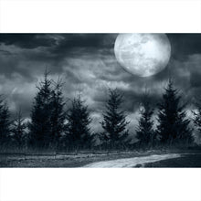Lade das Bild in den Galerie-Viewer, Poster Vollmond Nacht Querformat