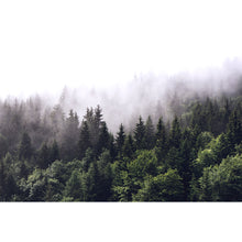 Lade das Bild in den Galerie-Viewer, Poster Wald am Morgen Querformat