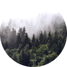 Lade das Bild in den Galerie-Viewer, Aluminiumbild gebürstet Wald am Morgen Kreis