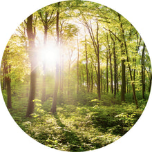 Lade das Bild in den Galerie-Viewer, Aluminiumbild gebürstet Wald No. 1 Kreis