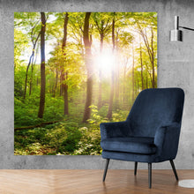 Lade das Bild in den Galerie-Viewer, Leinwandbild Wald No. 1 Quadrat