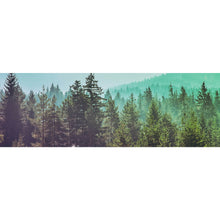 Lade das Bild in den Galerie-Viewer, Poster Wald No. 2 Panorama