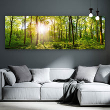 Lade das Bild in den Galerie-Viewer, Aluminiumbild Wald No. 1 Panorama