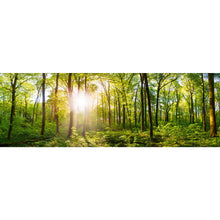Lade das Bild in den Galerie-Viewer, Poster Wald No. 1 Panorama