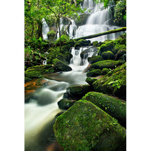 Lade das Bild in den Galerie-Viewer, Poster Wasserfall in Thai Nationalpark Hochformat