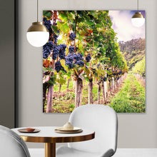 Lade das Bild in den Galerie-Viewer, Acrylglasbild Weinberge im Herbst Quadrat