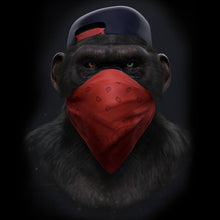 Lade das Bild in den Galerie-Viewer, Leinwandbild Affe mit rotem Tuch Quadrat