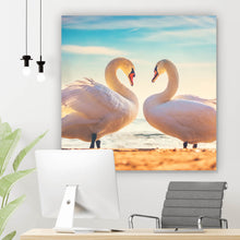 Lade das Bild in den Galerie-Viewer, Leinwandbild Weiße Schwäne Quadrat