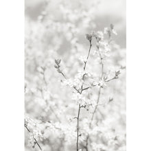 Lade das Bild in den Galerie-Viewer, Acrylglasbild Weißer Frühling Hochformat