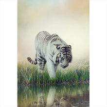 Lade das Bild in den Galerie-Viewer, Poster Weißer Tiger an einem Fluss Hochformat