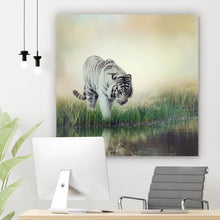 Lade das Bild in den Galerie-Viewer, Poster Weißer Tiger an einem Fluss Quadrat