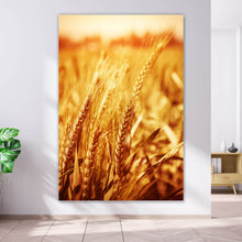 Lade das Bild in den Galerie-Viewer, Poster Weizenfeld im Abendlicht Hochformat