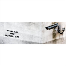 Lade das Bild in den Galerie-Viewer, Aluminiumbild gebürstet Banksy - What are you looking at Panorama