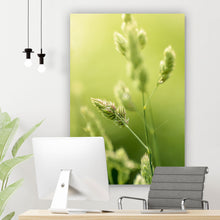 Lade das Bild in den Galerie-Viewer, Spannrahmenbild Wilde Gräser No. 1 Hochformat