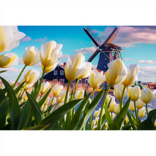 Lade das Bild in den Galerie-Viewer, Leinwandbild Windmühle in Holland Querformat