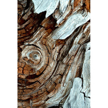 Lade das Bild in den Galerie-Viewer, Leinwandbild Wirbelnde Baumrinde Hochformat