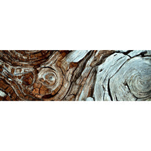 Lade das Bild in den Galerie-Viewer, Aluminiumbild gebürstet Wirbelnde Baumrinde Panorama