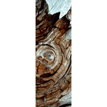 Lade das Bild in den Galerie-Viewer, Acrylglasbild Wirbelnde Baumrinde Panorama Hoch