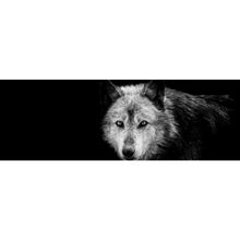 Lade das Bild in den Galerie-Viewer, Leinwandbild Wolf auf schwarzem Hintergrund Panorama