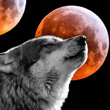 Lade das Bild in den Galerie-Viewer, Leinwandbild Wolf mit Blutmond Quadrat