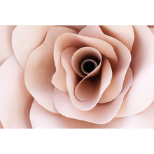 Lade das Bild in den Galerie-Viewer, Aluminiumbild gebürstet Zarte Rose Querformat