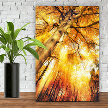 Lade das Bild in den Galerie-Viewer, Poster Zauberhafte Waldlandschaft im Herbst Hochformat