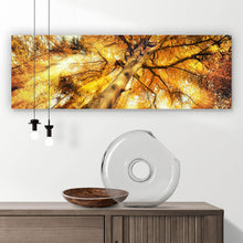 Lade das Bild in den Galerie-Viewer, Poster Zauberhafte Waldlandschaft im Herbst Panorama