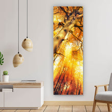 Lade das Bild in den Galerie-Viewer, Aluminiumbild Zauberhafte Waldlandschaft im Herbst Panorama Hoch