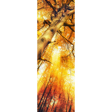 Lade das Bild in den Galerie-Viewer, Aluminiumbild Zauberhafte Waldlandschaft im Herbst Panorama Hoch