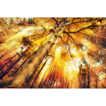 Lade das Bild in den Galerie-Viewer, Poster Zauberhafte Waldlandschaft im Herbst Querformat