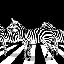 Lade das Bild in den Galerie-Viewer, Leinwandbild Zebras auf Zebrastreifen Quadrat