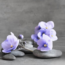 Lade das Bild in den Galerie-Viewer, Spannrahmenbild Zen Steine mit Lila Blumen Quadrat